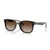 Ray-Ban 0RB4461D 71013